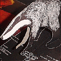 Badger